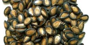 Watermelon Seeds (Black)
