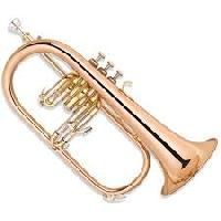 Wind Musical Instrument