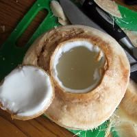 Raw Coconut