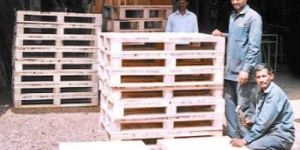 4 Way Wooden Pallets 02