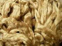 Muga Silk