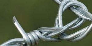 Barbed Wire