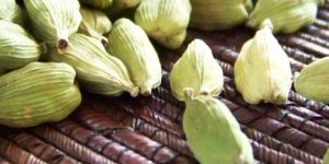 Cardamom