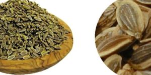 Dill Seeds