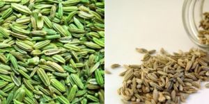 Fennel Seeds