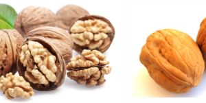 Walnut