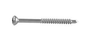 Malleolar Screw