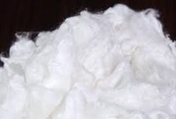 Viscose Staple Fiber