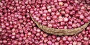 Fresh Red Onion