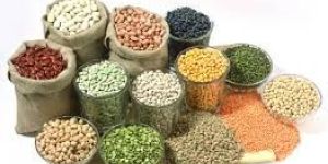 Indian Pulses