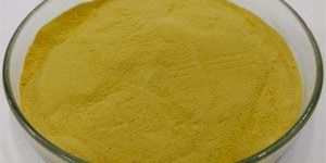 Green Coffee Bean Extract