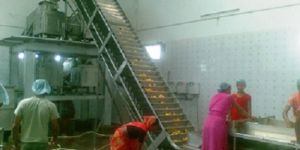 Mango Pulp Processing Machinery