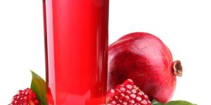 Pomegranate Juice Processing Plant