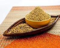 Dry Coriander Powder