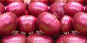 Pink Onions