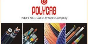 Polycab Wire and Cables