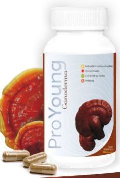 Ganoderma Red Reishi Mushroom