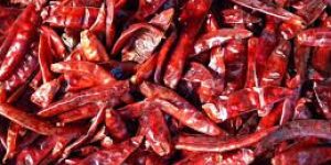 Dried Red Chilli