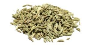 Fennel Seeds