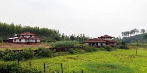 Nature Tour Services