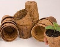 Coir Pot
