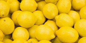 Fresh Lemon
