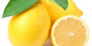 Fresh Lemon