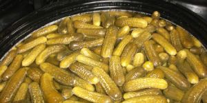 Pickled Gherkins