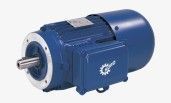 Three Phase Gear Motor