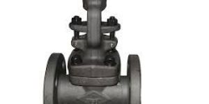 Forged Steel Gate Valve