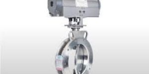 Spherical Disc Valve