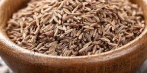 Cumine Seed