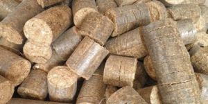 Bio Coal Briquettes