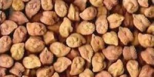 Black Chickpeas