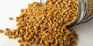 Fenugreek Seeds