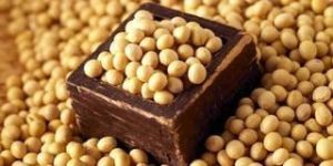 Guar Gum Seeds