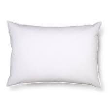 Washable Pillow