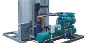 Flake Tube Ice Plants