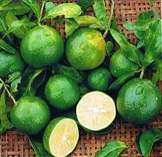 Fresh Thai Lemon