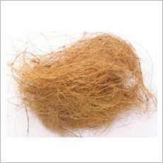 Coir Fiber