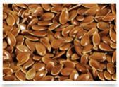 Flax Seed