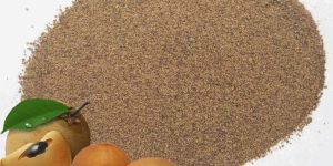 Sapota Powder