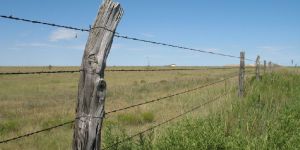 Wire Fencing