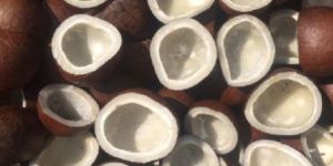 Dried Coconut Ball Copra