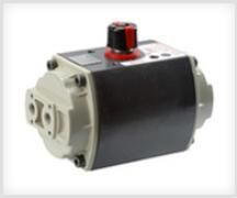 Pneumatic Actuator