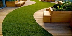 Artificial Grass