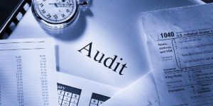 Auditing Services