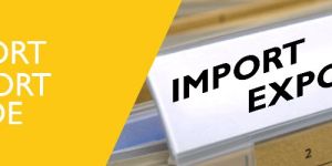 Import Export Code Registration Services