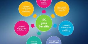 ISO Registration Services