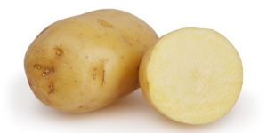 Fresh Potato
